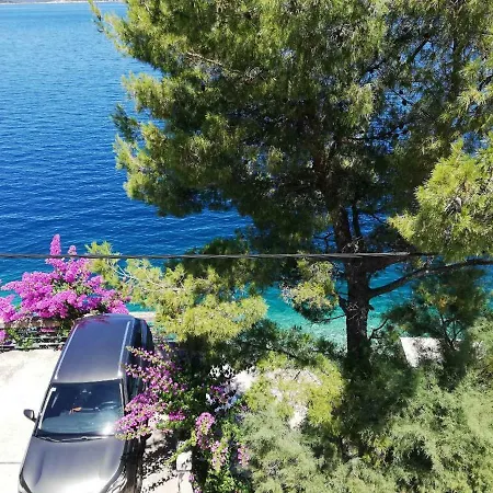 Marula Рачишче